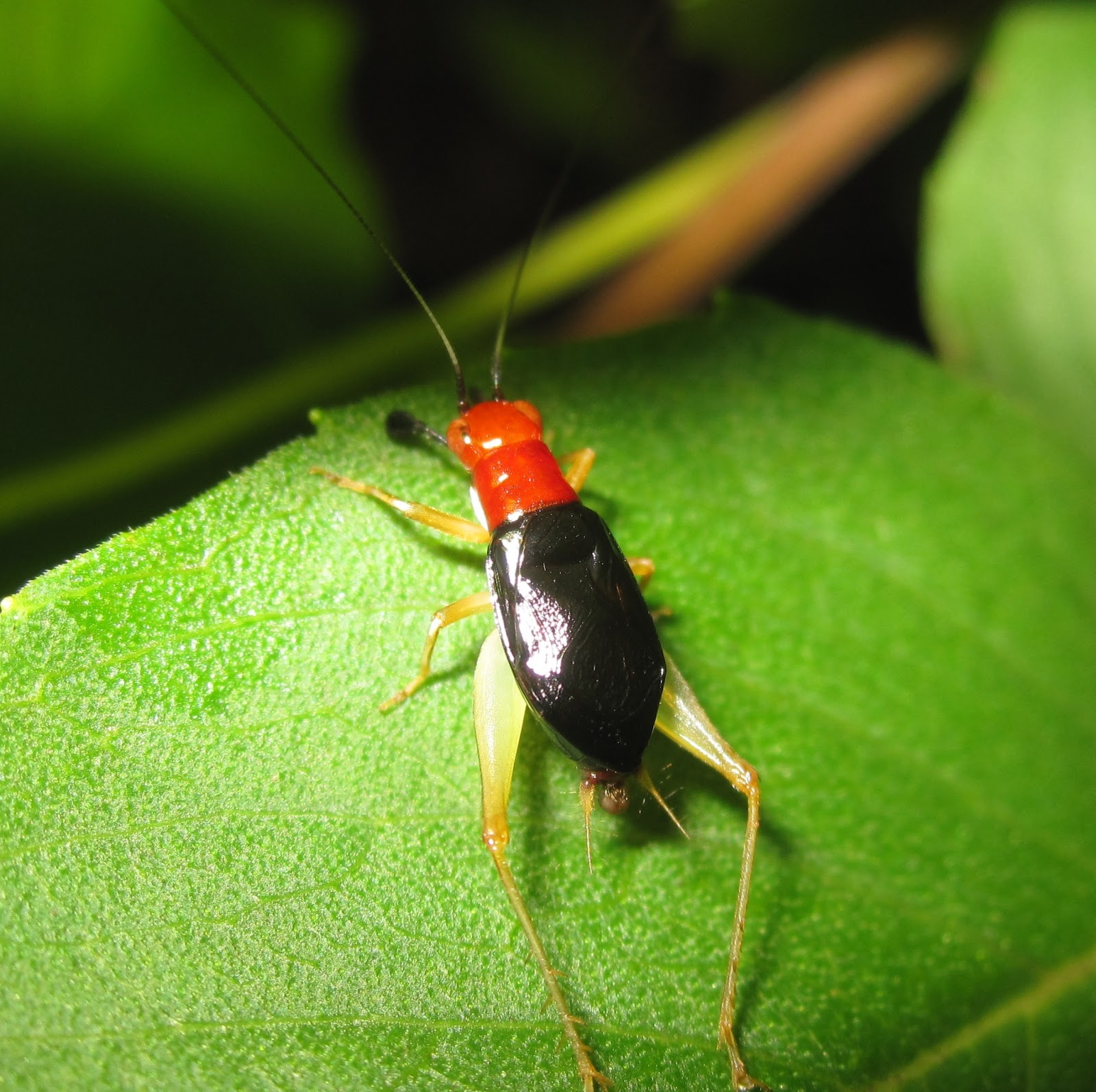 6 Generations: July 2013