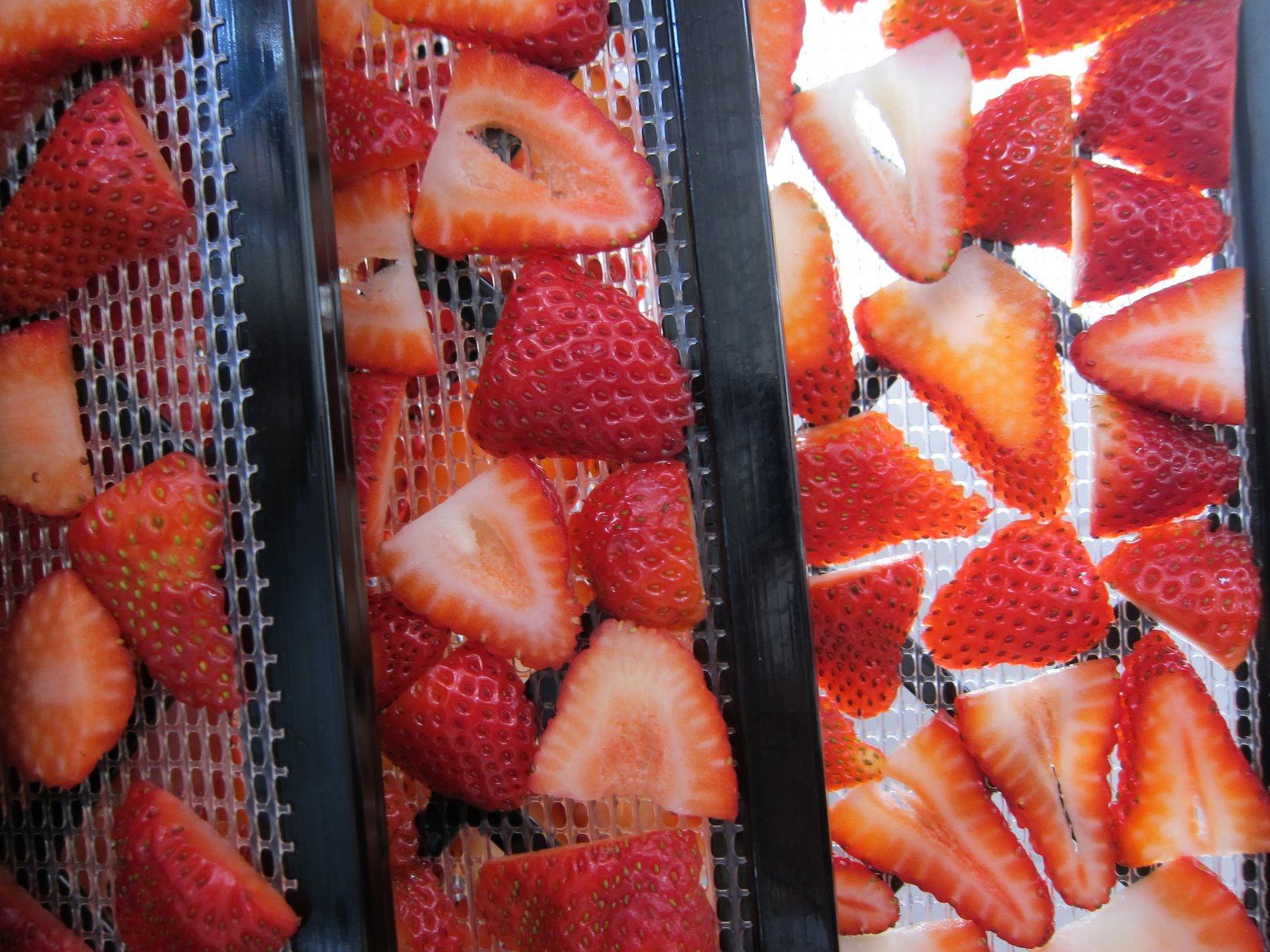 WholeFoodVegan Strawberry Chips