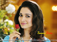 tamanna photos, tamana image, gorgeous celeb tamanna bhatia with a red rose with attractive smile.