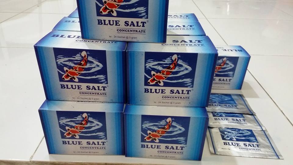 Blue Salt garam ikan