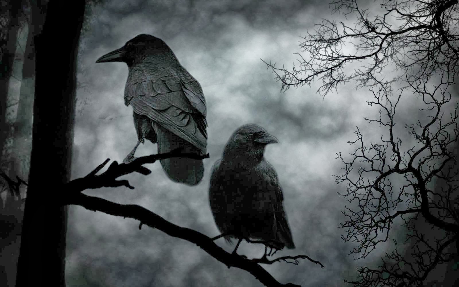 одиночество черный ворон слушать. ворон мистика. одиночество черный ворон слушать. черный ворон. одинокий ворон.
