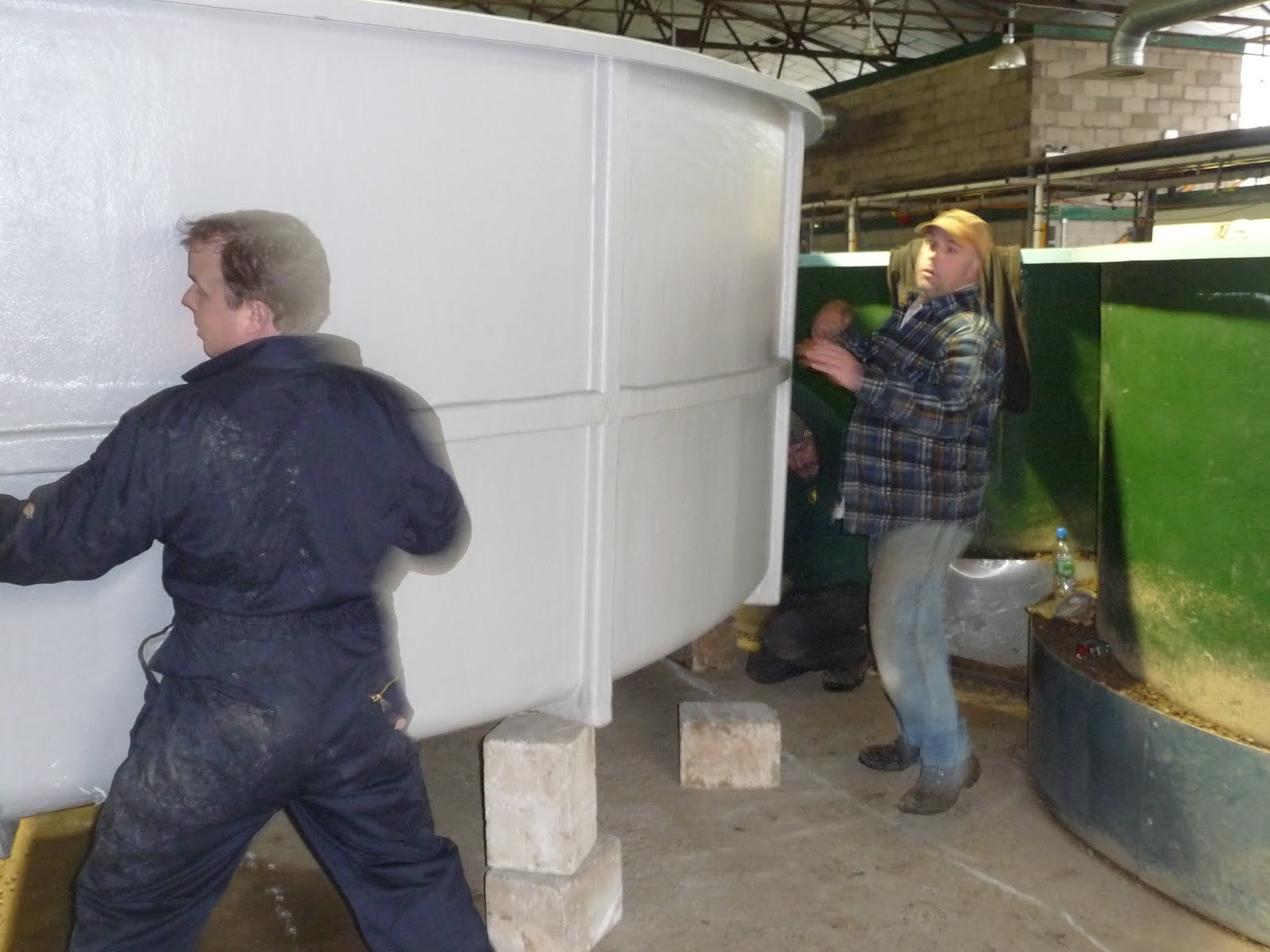 Salmon Fishing Scotland. Salmon Fishing Scotland River Tay Hatchery