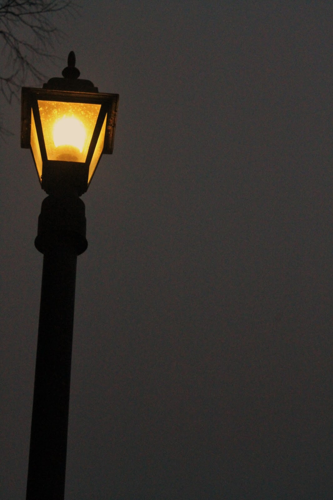 strawberry sunshine Night photography without flash