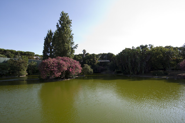 Parco Edoardo VII-Lisbona