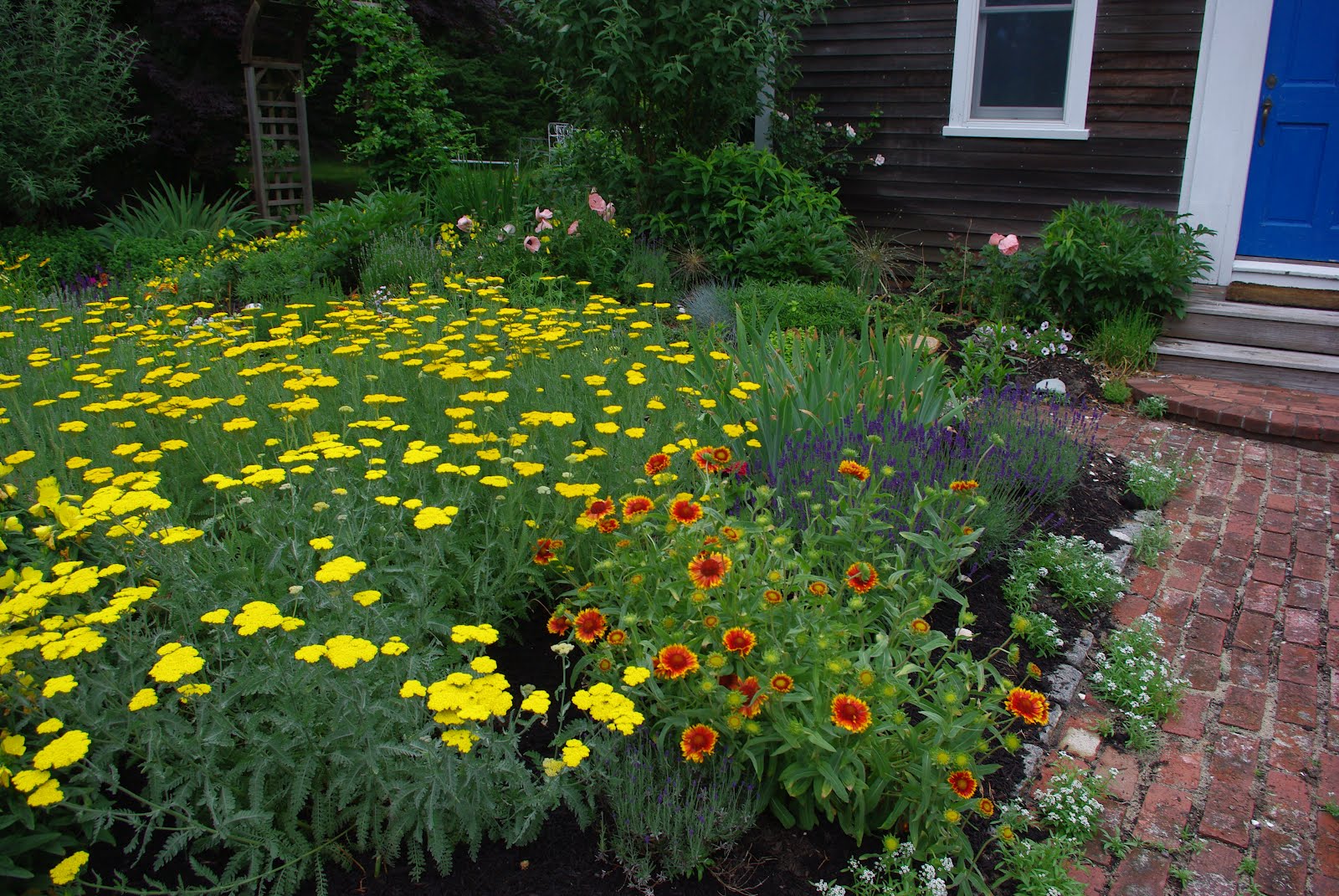 Chezsven Blog Wellfleet Today Cape Cod Life Announces 2012 Winners