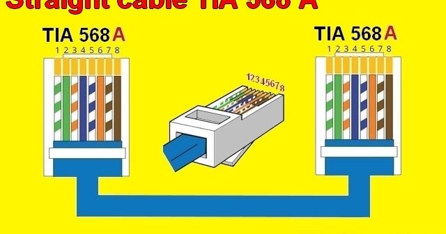 House Electrical Wiring Diagram Straight Throught Cable