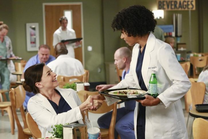 Grey's Anatomy - Episode 11.02 - Puzzle With a Piece Missing - Promotional Photos