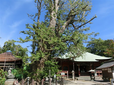 �ѐ�ω��E����