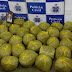 Maconha avaliada em R$ 130 mil é apreendida em Salvador