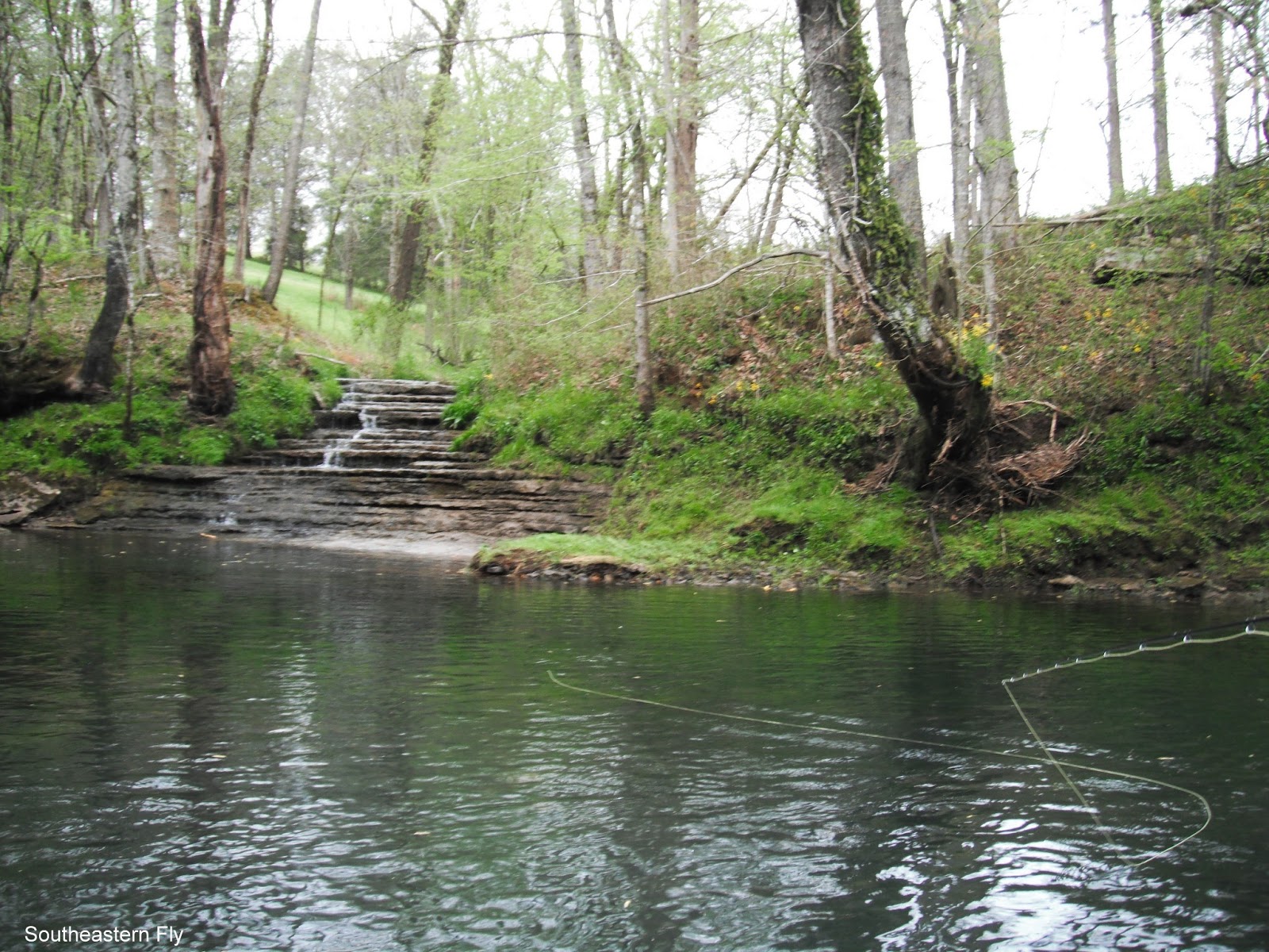 Southeastern Fly Clinch River, Caney Fork and Elk River Fly Fishing