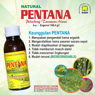 Agen Pestisida Nasa Bandar Lampung