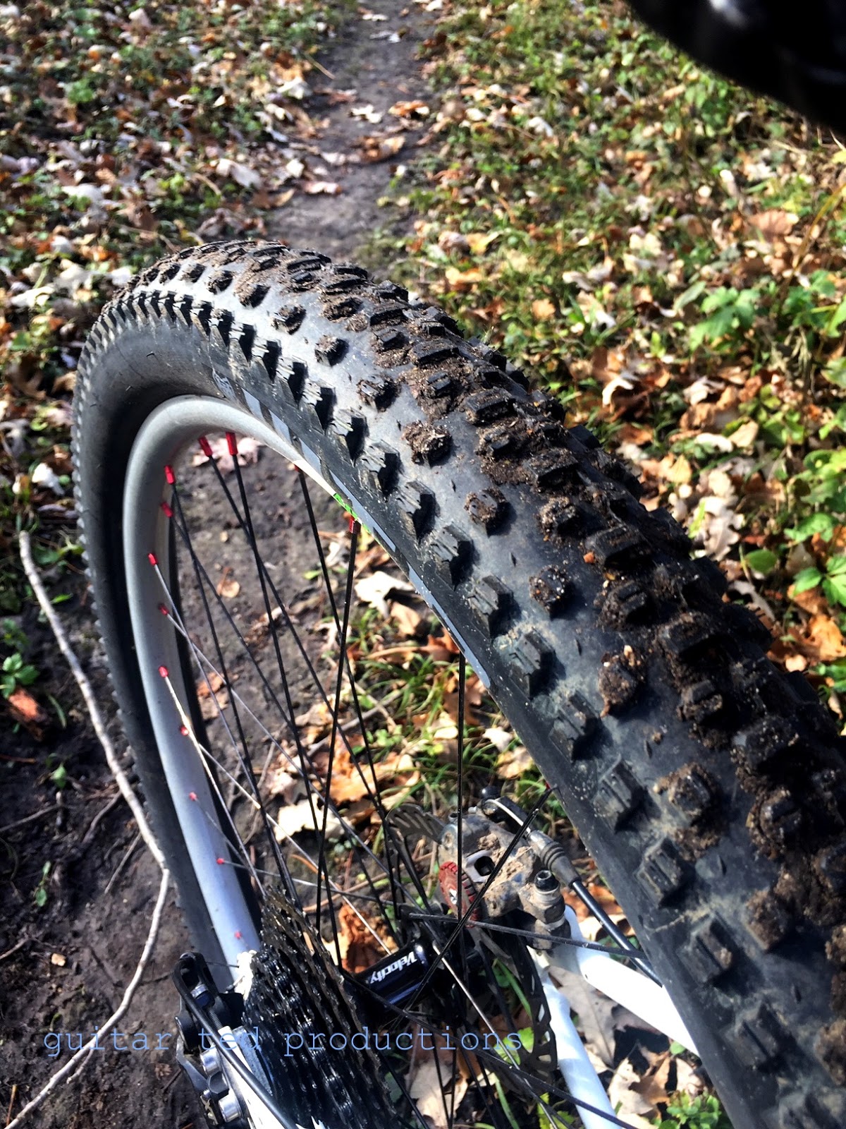 Psi WTB Ranger Tire 29 X TCS Tubeless, Folding, Black