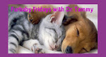 Furbaby Fridays with Dr. Tammy