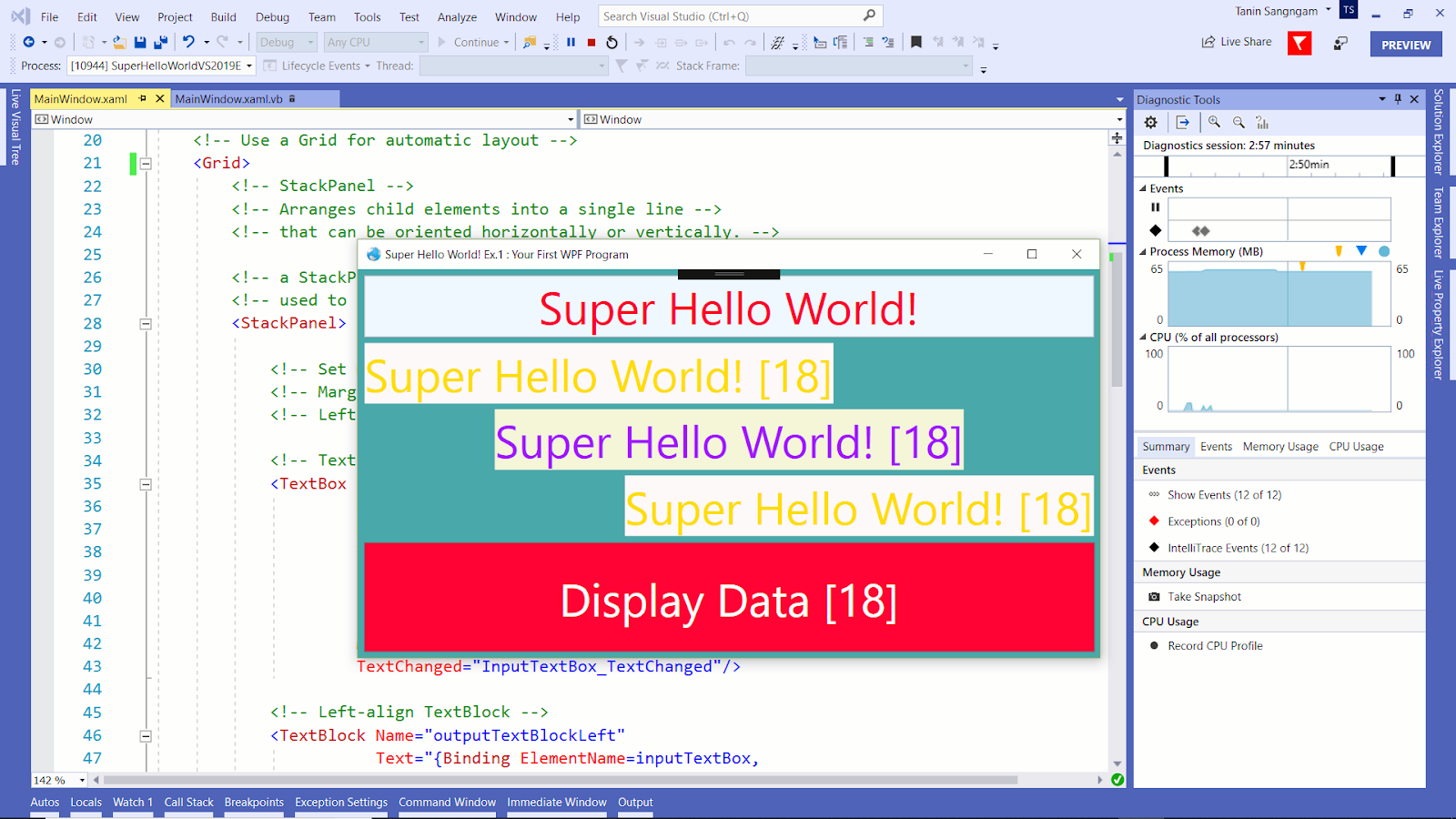Visual Basic Sample Code Hello World Visual Basic Sample Code Hello World