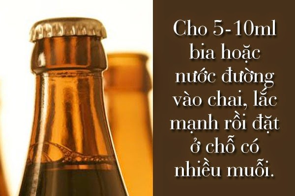 Cho 5 - 10 ml bia hoặc nước đường vào chai, lắc mạnh rồi đặt ở chỗ có nhiều muỗi