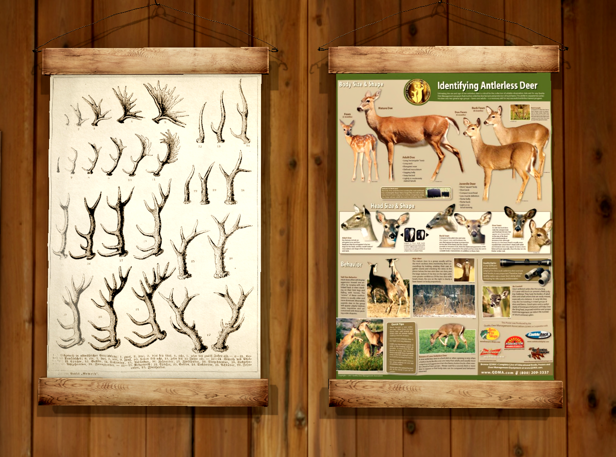 Virtual Dream & Travel Antler Chart