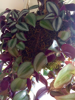 restauracion y decoracion de madera