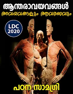 Download Study Material on Internal Organs
