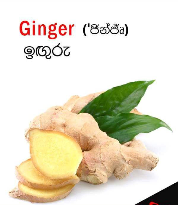 Sri Lankan spices names Sandy Foods Sri Lanka