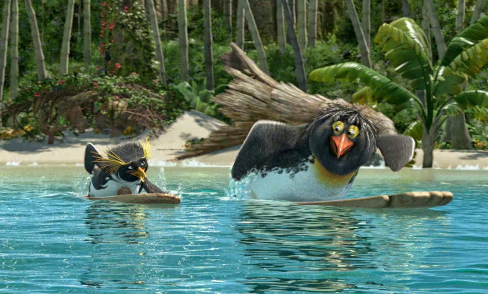 Surf’s Up Wallpapers | Wallpaper Albums