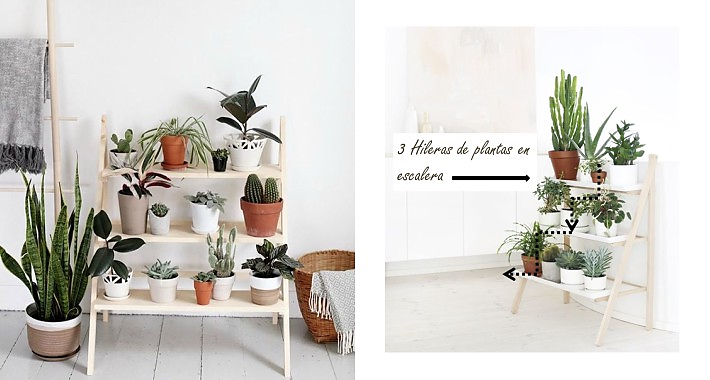 Cómo hacer composiciones con plantas