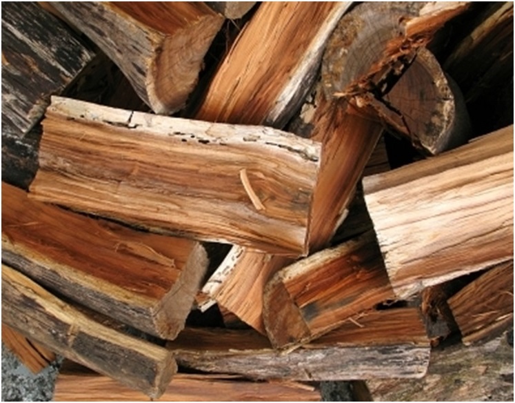 woodstove catalytic combustors What's the best firewood to burn to get