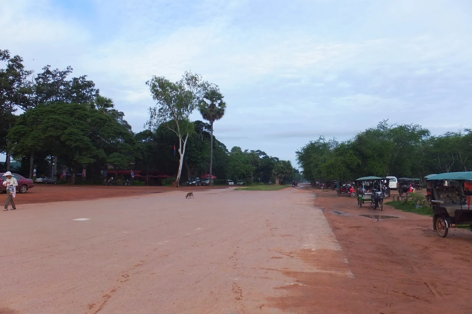 cambodia-siemreap-road