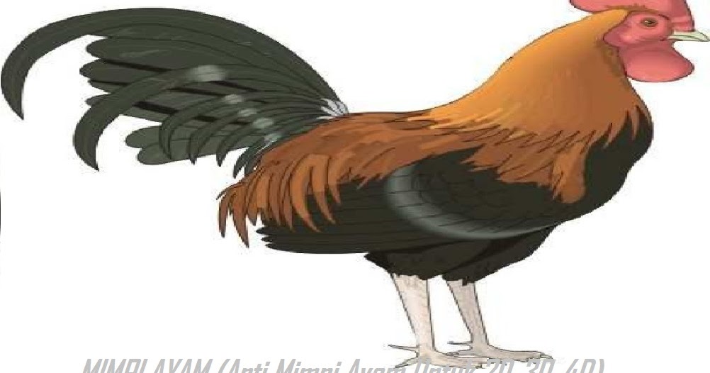 Gambar Togel Ayam Hutan
, Gambar Mimpi Ayam Arti 2d 3d 4d Kisi Gambar Togel Di Rebanas Rebanas