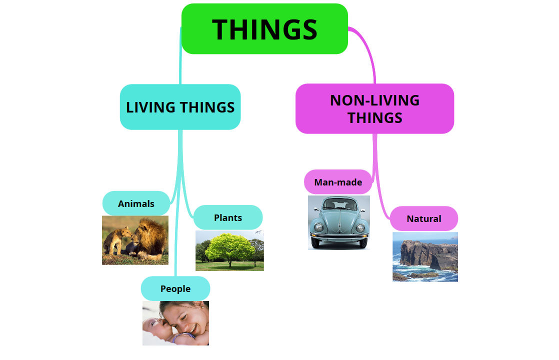 Natural Science for 5 and 6. 5º UNIT 1 LIVING THINGS