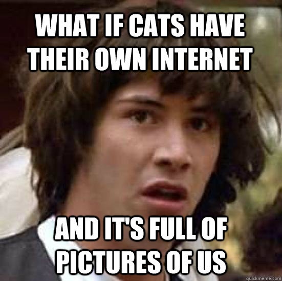 The Luckiest: Top 30 Memes of 2012