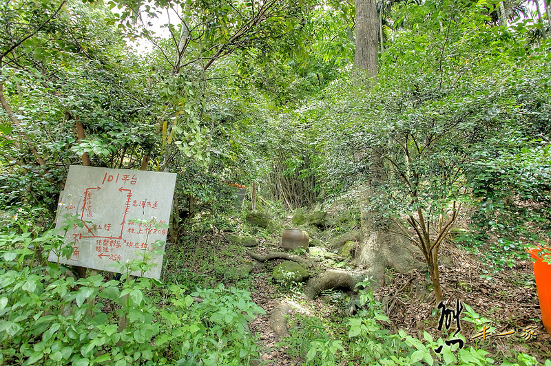鳥瞰桃園盆地景點|五十份山登山步道