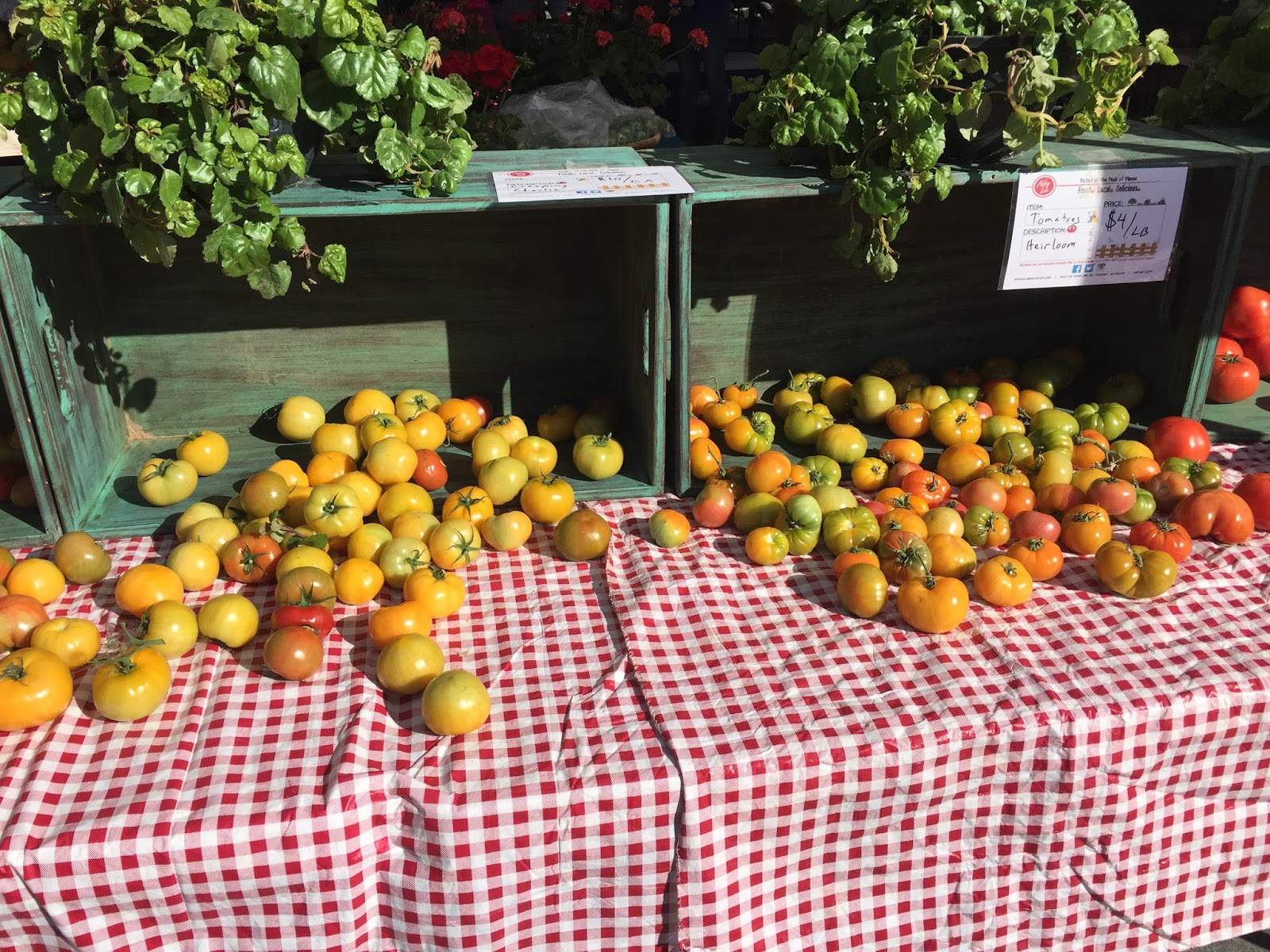 a-day-in-my-arizona-life-old-town-scottsdale-farmers-market
