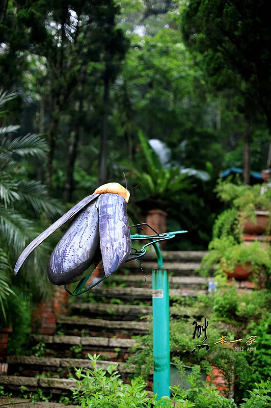 三峽賞螢下午茶|珍園|螢火蟲花園