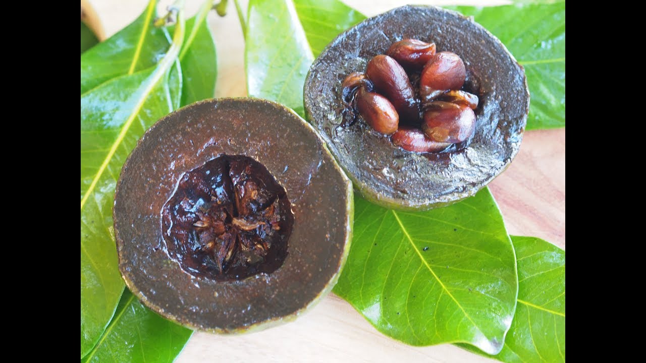 Black Sapote Tea, Water Therapy & Diet Heals Aids Natural Home