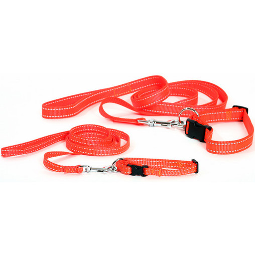 CSiGORAs HUNDbutik: januari 2012 första kurs grossistpris flera färger hundhalsband online