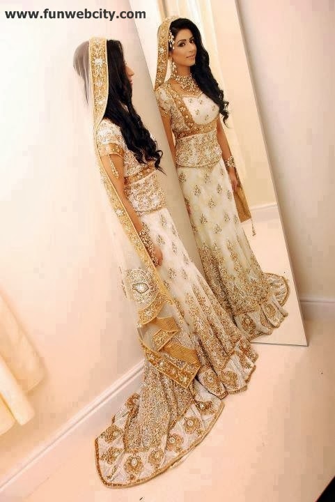Collection of Pakistani Bridal Dresses
