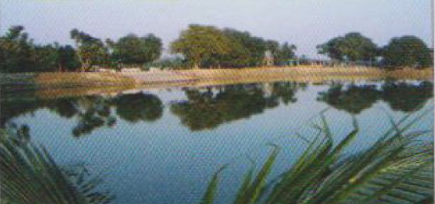 SHIPON BARUA (SHIPU): (Rangpur Division)