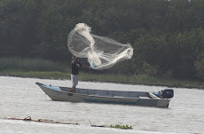 O pescador - Barra da Ribeira-SP