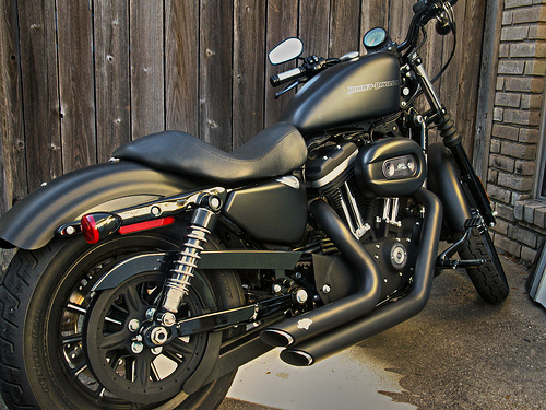 full picture Harley  Davidson  Iron  883