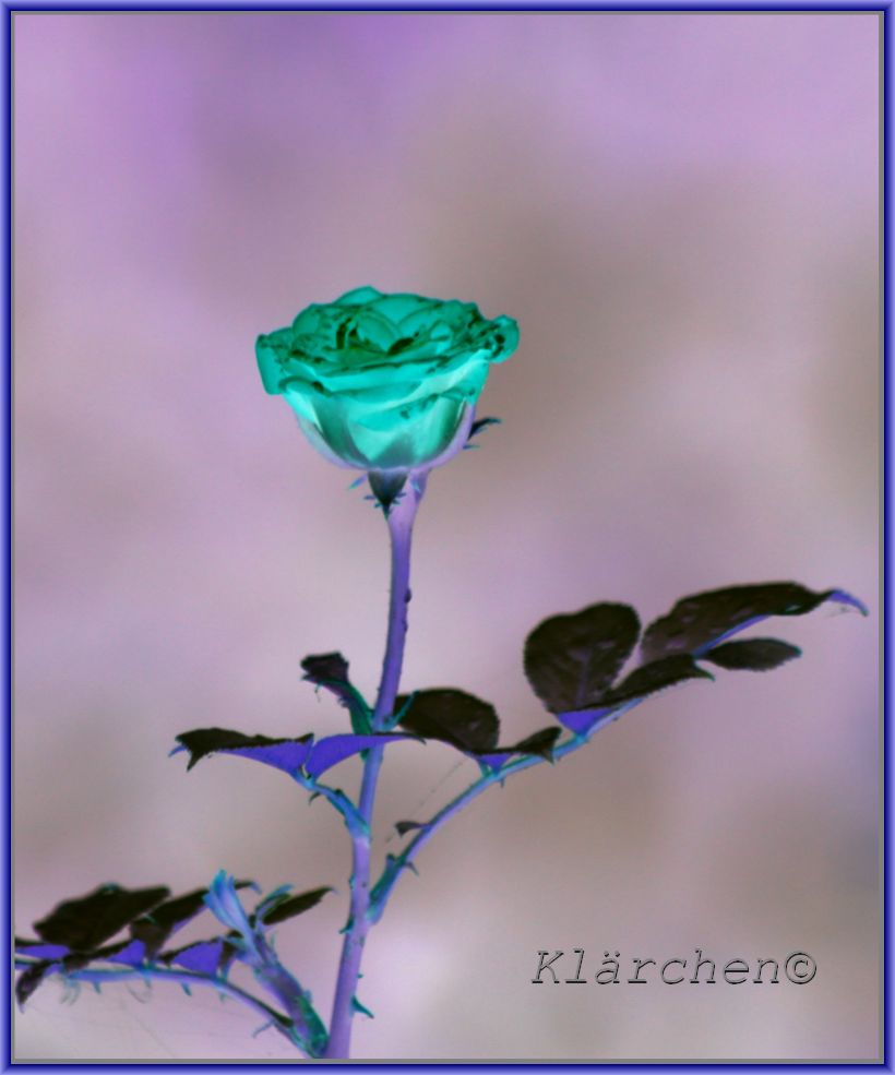 Klarchen Oktober 2018