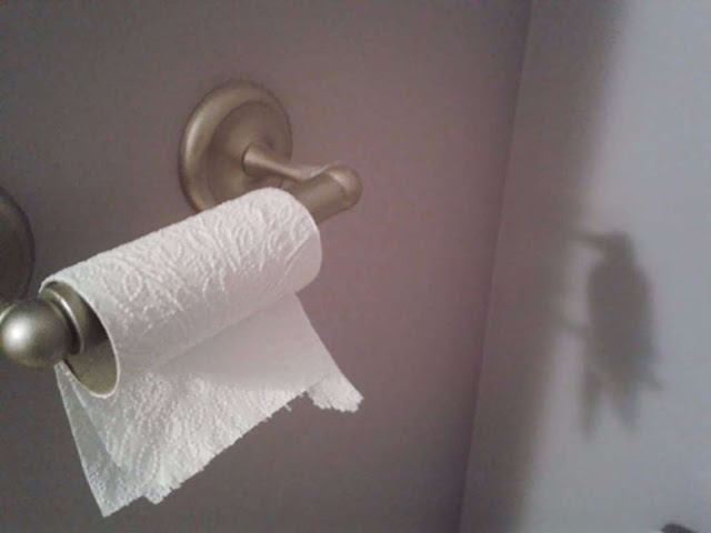 21 imagens surpreendentes de sombras Elfandarilha