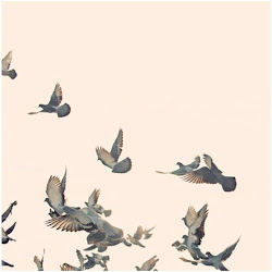 painting bird birds watercolour ink pretty thomas lines colours avenue lifestyle created birdwatch max