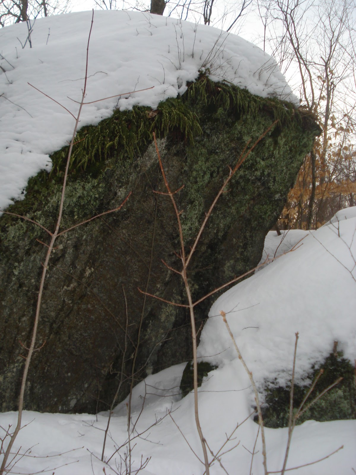 Mondays in the Nelson Wilds: Following the Town Line and working our ...
