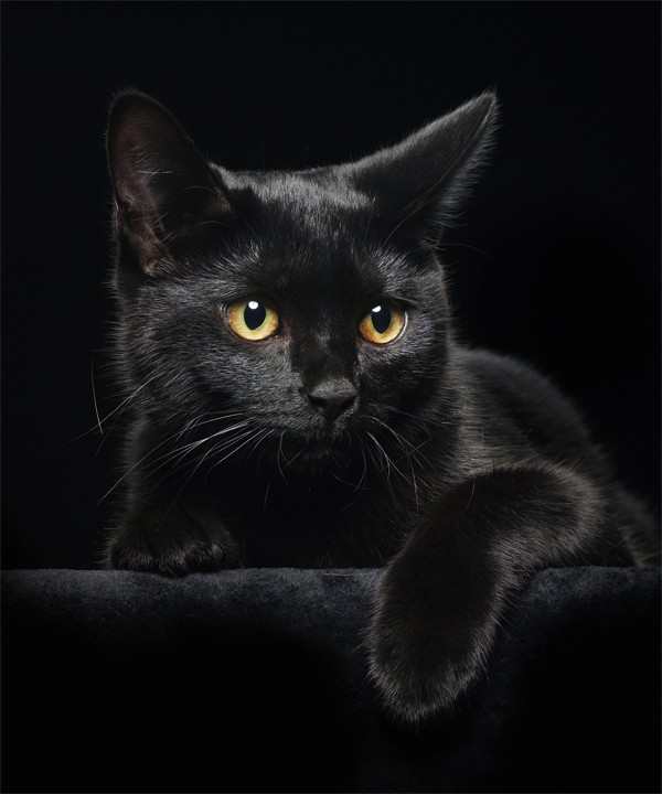 Polski Folklor - Polish Folklore: 13go WSZYSTKO ZDARZYĆ SIĘ MOŻE...