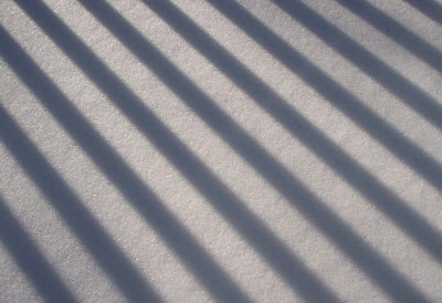 shadows in snow