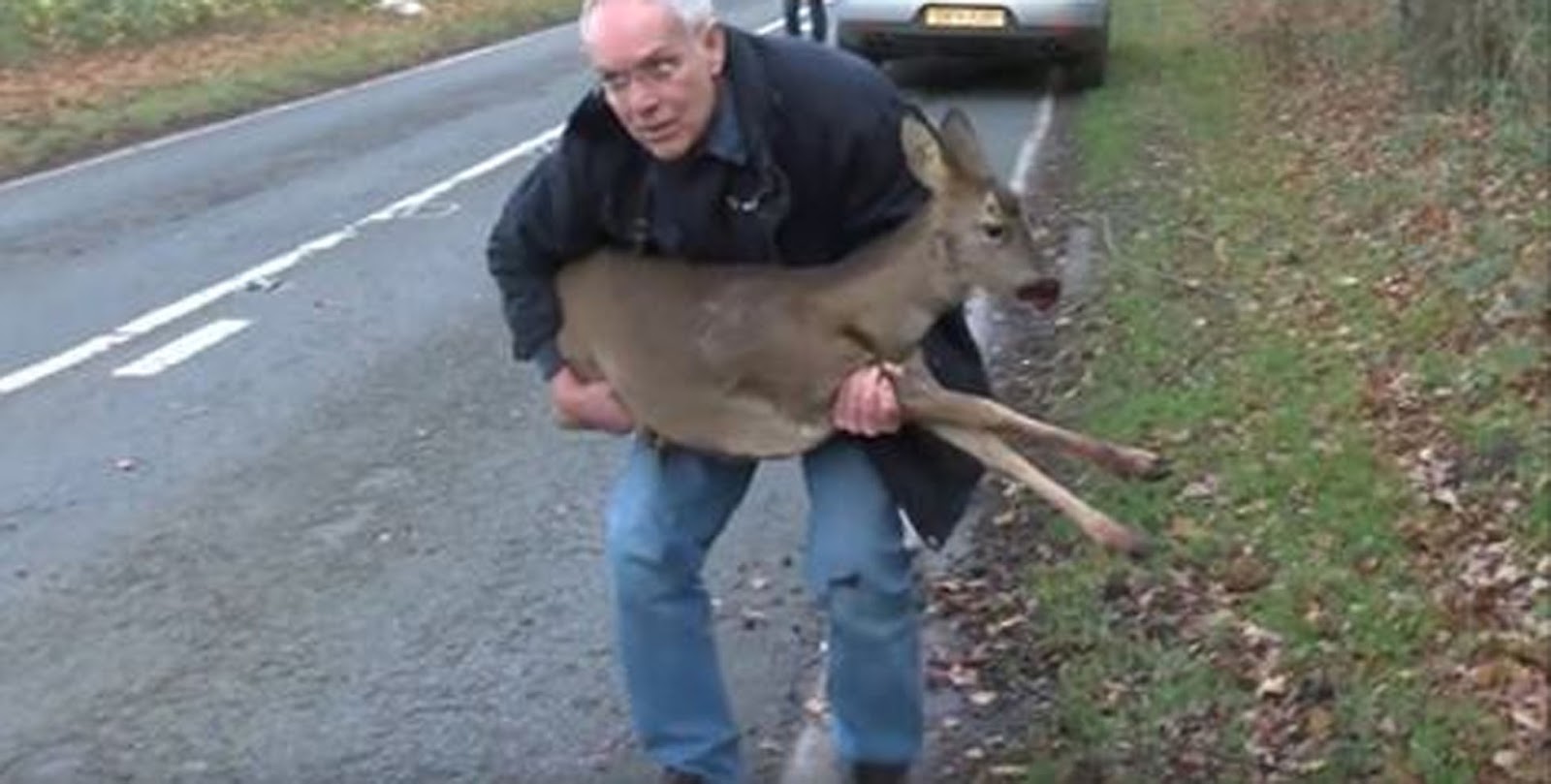 Man Picks Up An Injured Deer On The Road. That's When He Realizes The