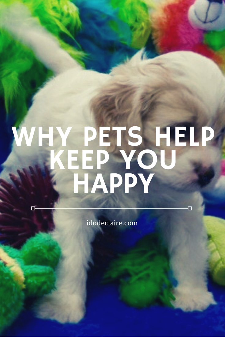 Why Pets Help Keep You Happy