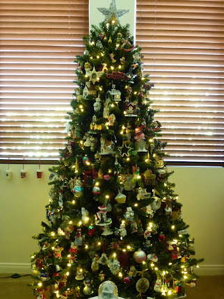 CHRISTMAS TREES 2013 - Click On Photo