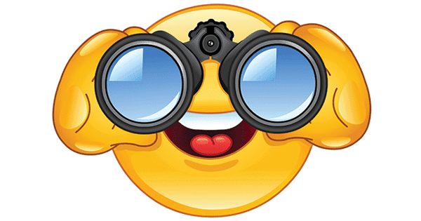 Image result for binocular emoji