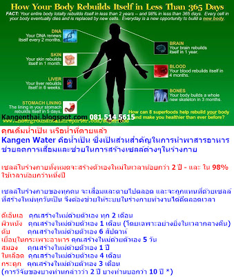 เครื่องทำน้ำด่าง Enagic